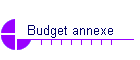 Budget annexe
